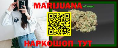 крисы Братск