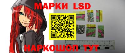 крисы Братск