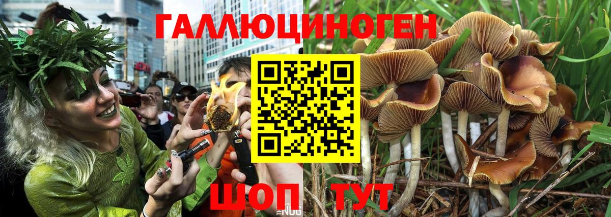 Псилоцибиновые грибы MAGIC MUSHROOMS Саратов