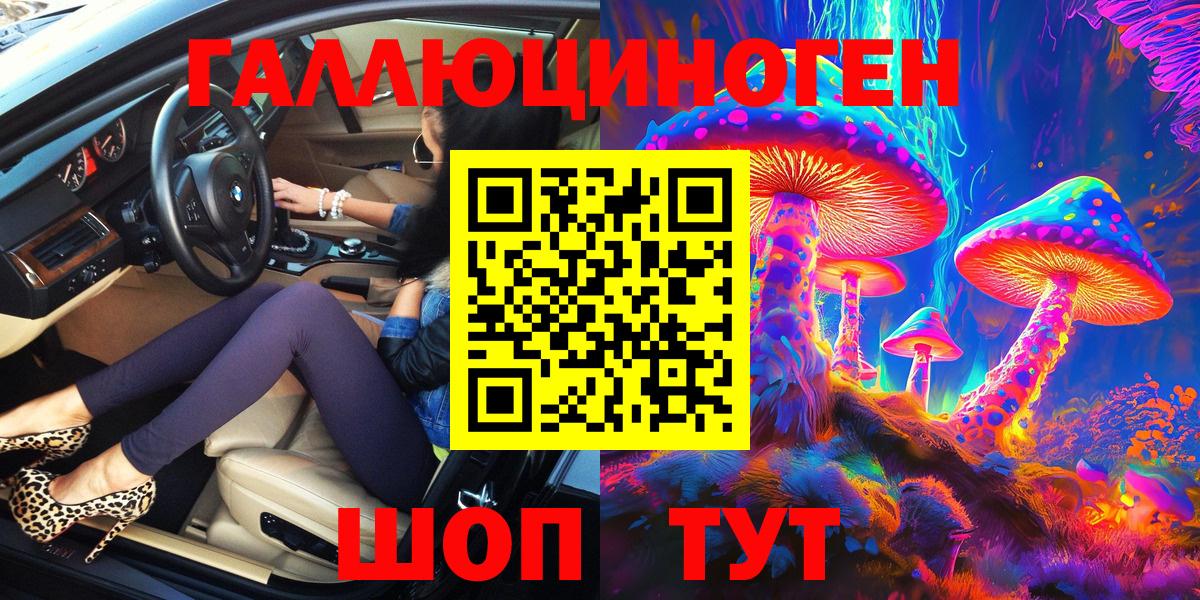 Саратов  Галлюциногенные грибы Psilocybe  наркота  Вход с VPN 